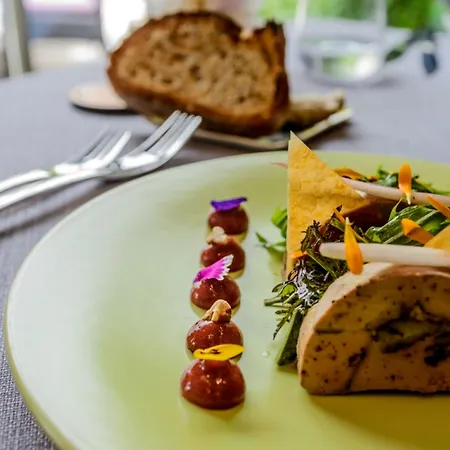 Le Carré D'alethius Logis Hôtel-restaurant Gastronomique Hotel Charmes-sur-Rhone